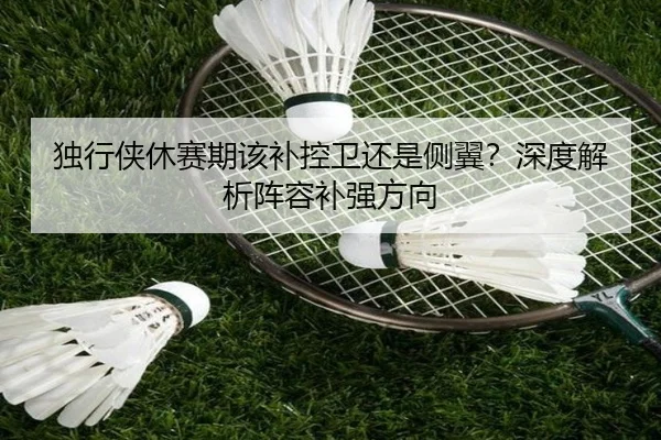 独行侠休赛期该补控卫还是侧翼？深度解析阵容补强方向